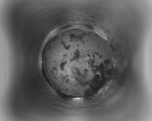 X0000093750053200710161205