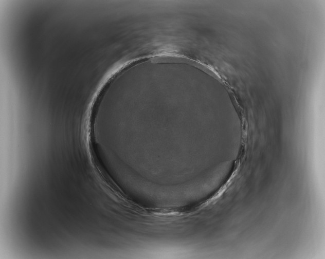 X0000093750056200710161205