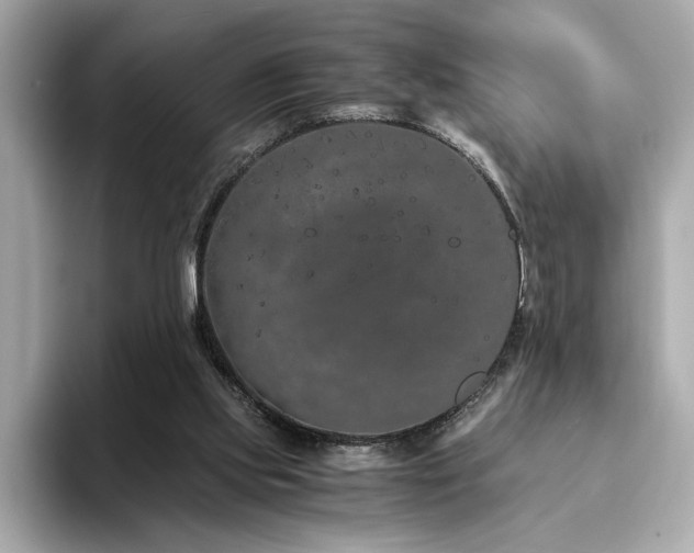 X0000093750061200710161205