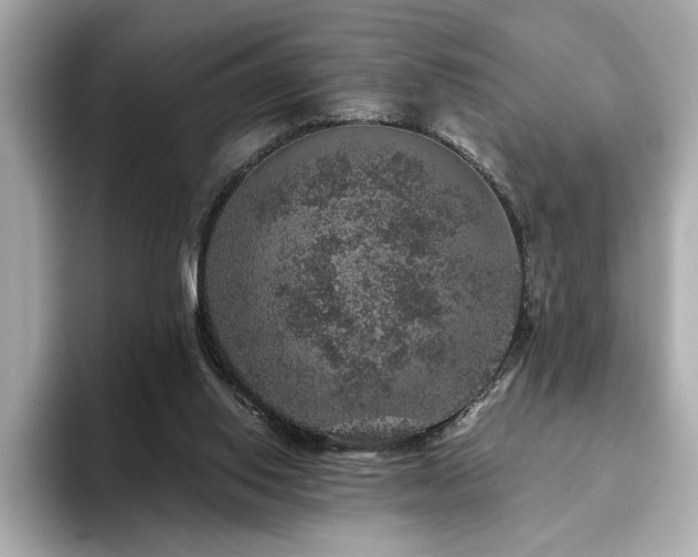 X0000093750062200710161205