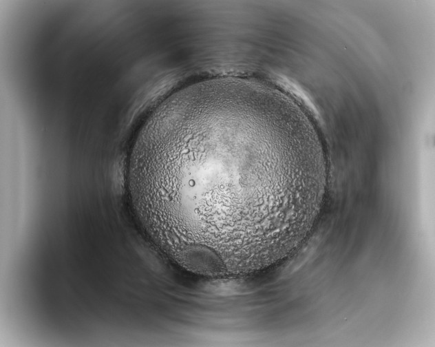X0000093750065200710161205