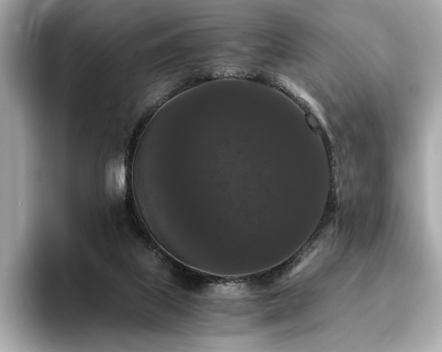 X0000093750067200710161205