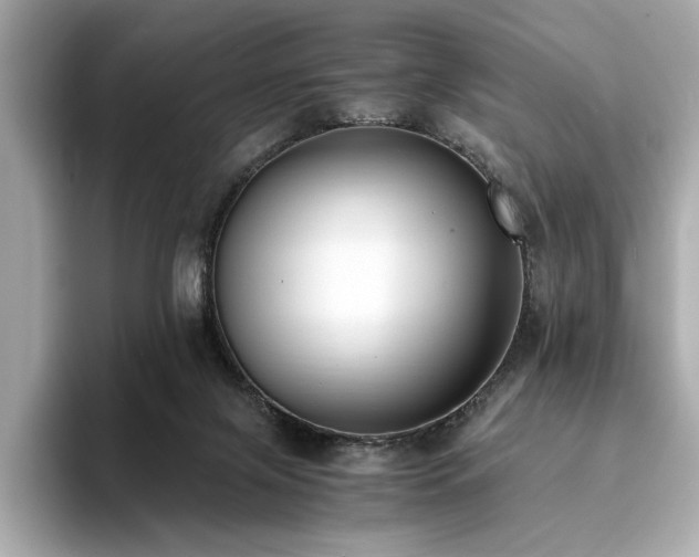 X0000093750071200710161205