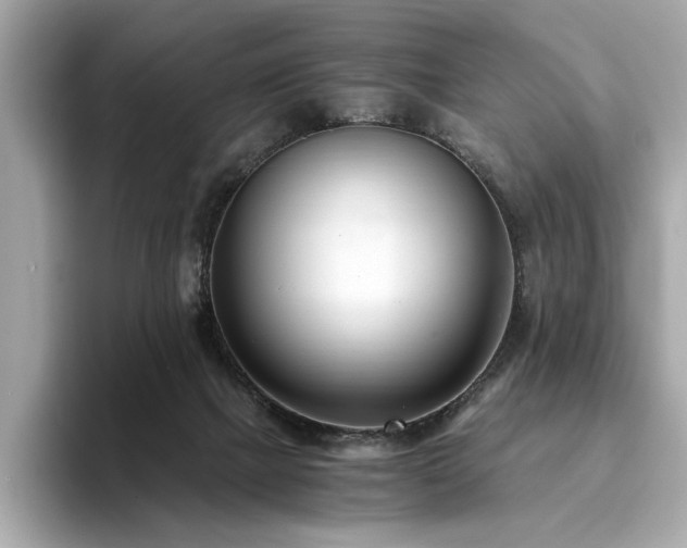 X0000093750073200710161205