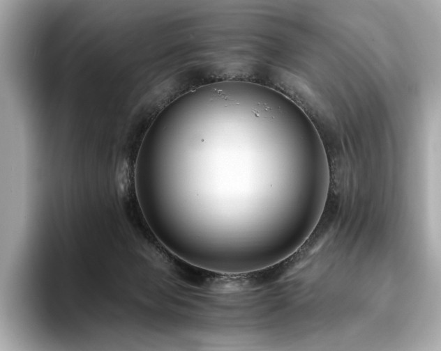 X0000093750077200710161205