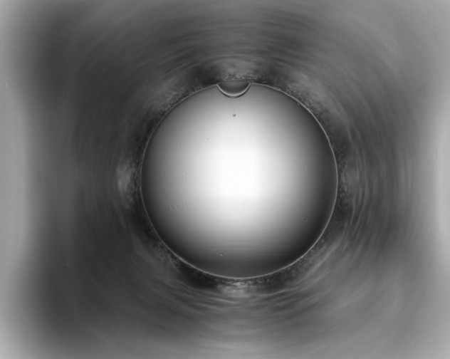 X0000093750079200710161205