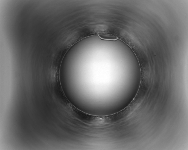 X0000093750083200710161205