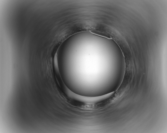 X0000093750084200710161205