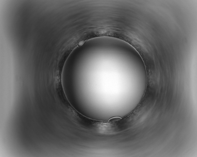X0000093750085200710161205