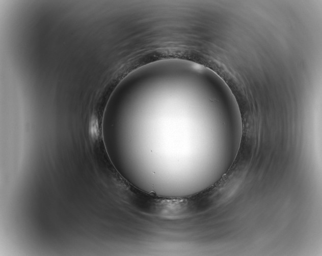 X0000093750089200710161205