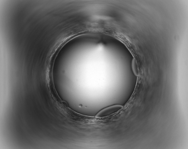 X0000093750098200710161205