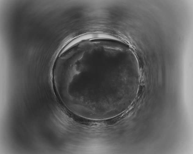 X0000093750099200710161205