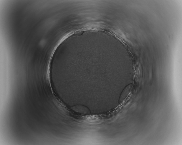 X0000093750100200710161205