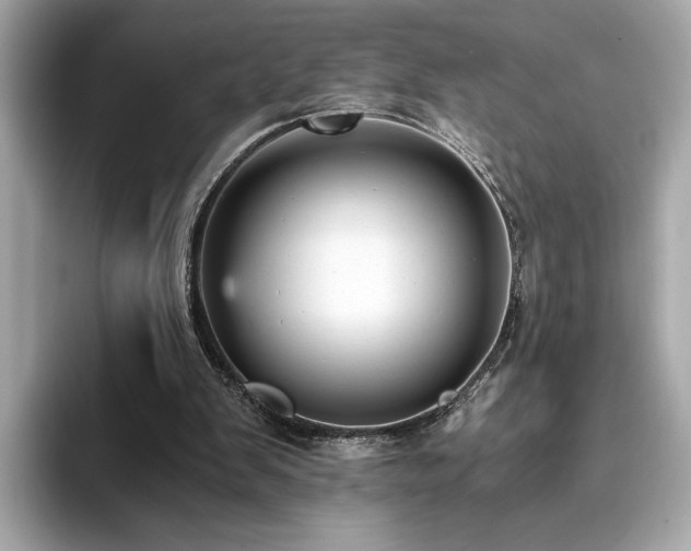 X0000093750103200710161204