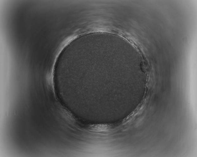 X0000093750104200710161204