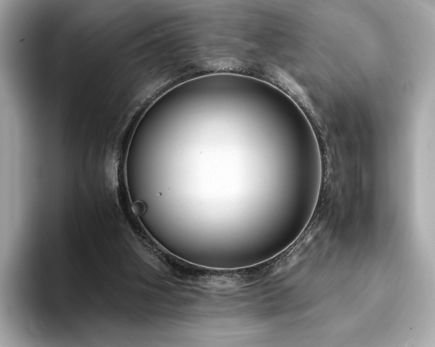 X0000093750106200710161204