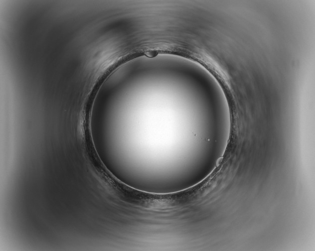 X0000093750107200710161204