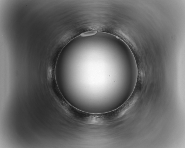 X0000093750117200710161204