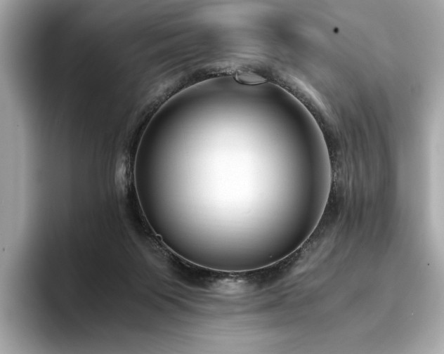 X0000093750119200710161204