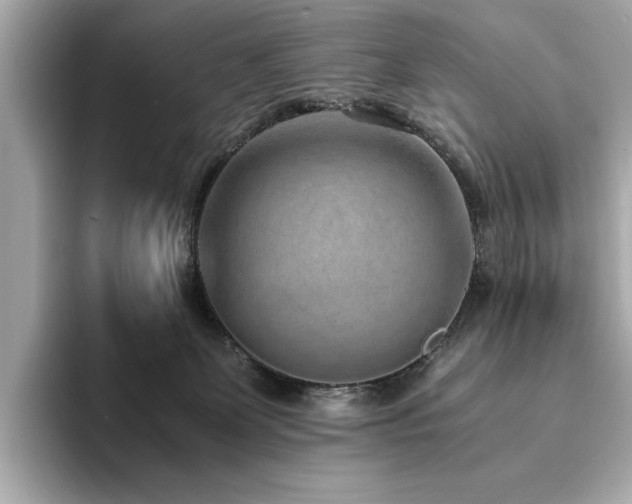 X0000093750131200710161204