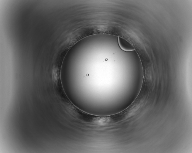 X0000093750135200710161204