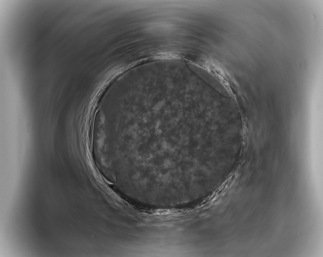 X0000093750145200710161203