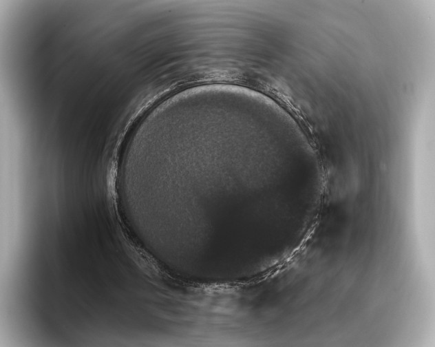 X0000093750146200710161203