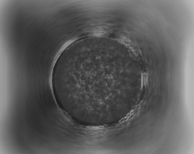 X0000093750147200710161203