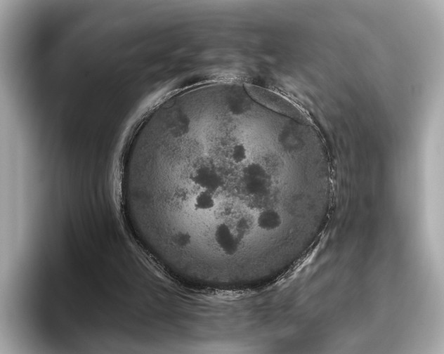 X0000093750149200710161203