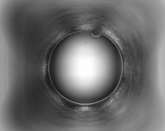 X0000093750153200710161204