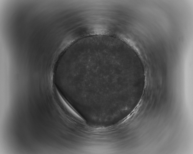 X0000093750154200710161204