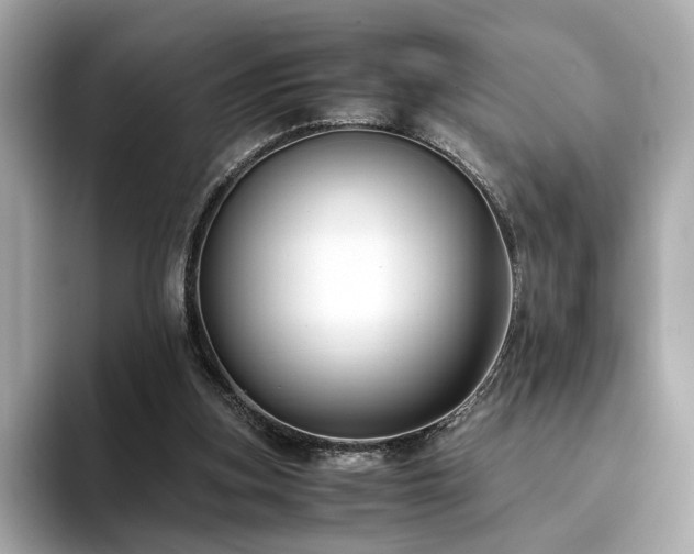 X0000093750155200710161204