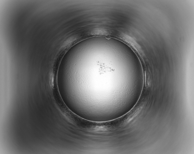 X0000093750157200710161204