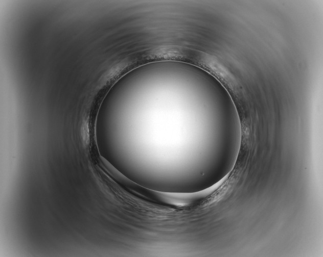X0000093750158200710161204