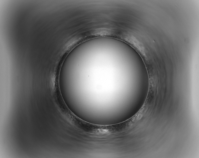 X0000093750159200710161204