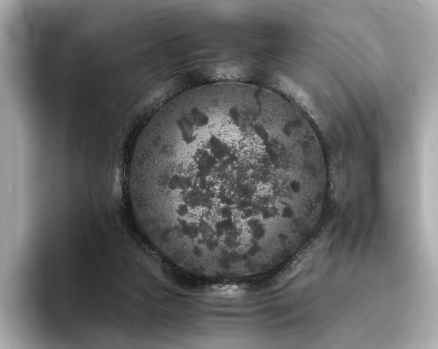 X0000093750161200710161204