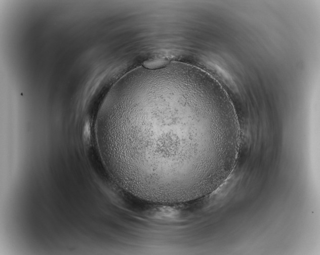 X0000093750166200710161204