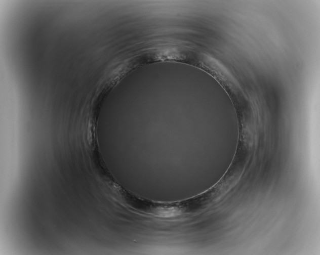 X0000093750169200710161204