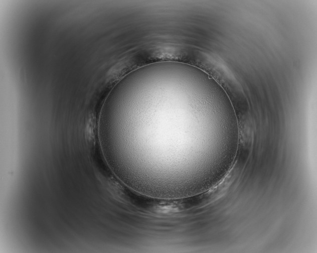 X0000093750175200710161204