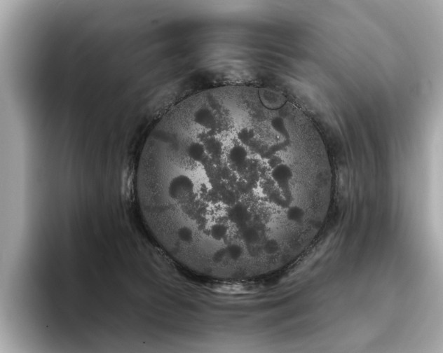 X0000093750177200710161204