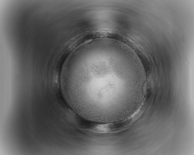 X0000093750178200710161204