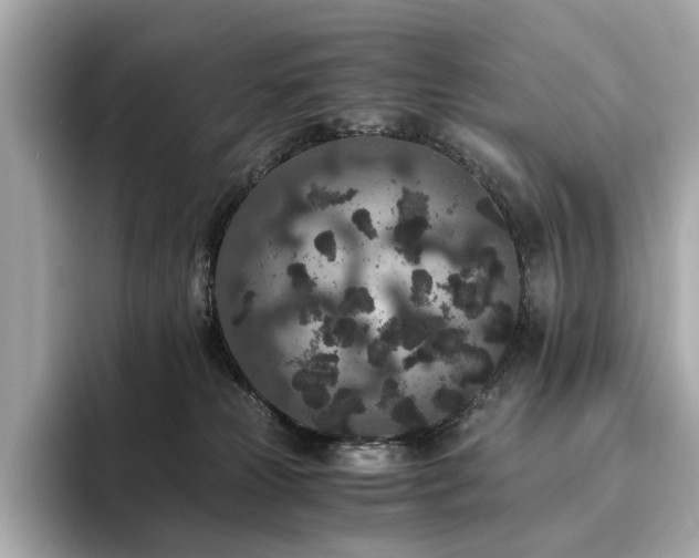 X0000093750181200710161204