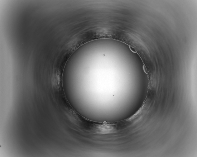 X0000093750183200710161204