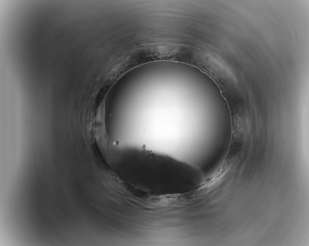 X0000093750184200710161204