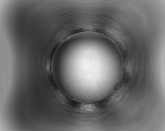 X0000093750185200710161204