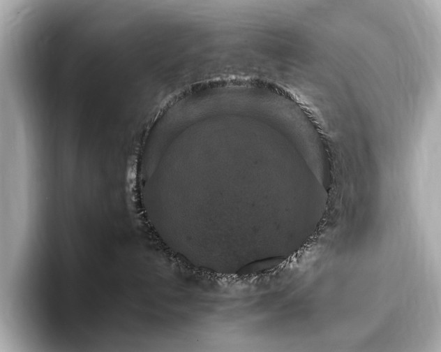 X0000093750192200710161204