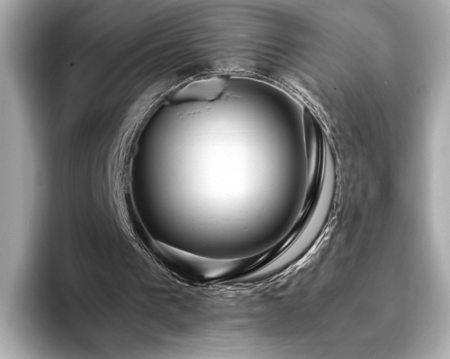 X0000093750193200710161203