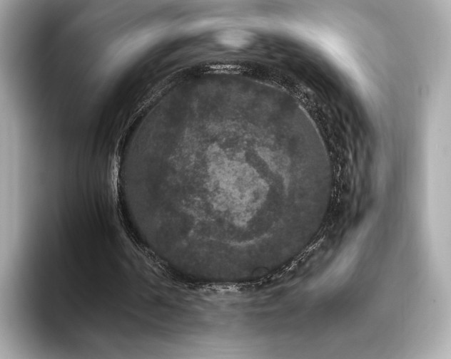 X0000093750194200710161203