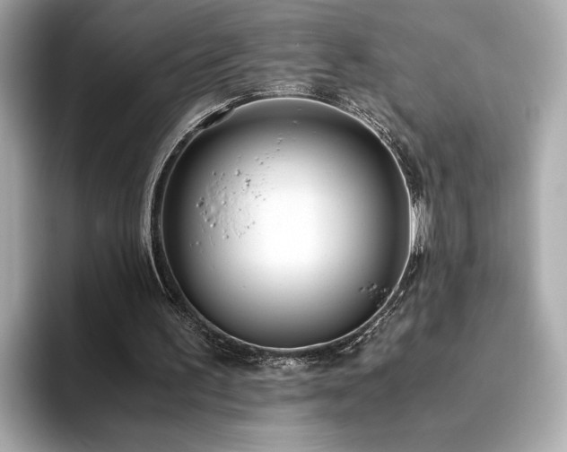 X0000093750195200710161203