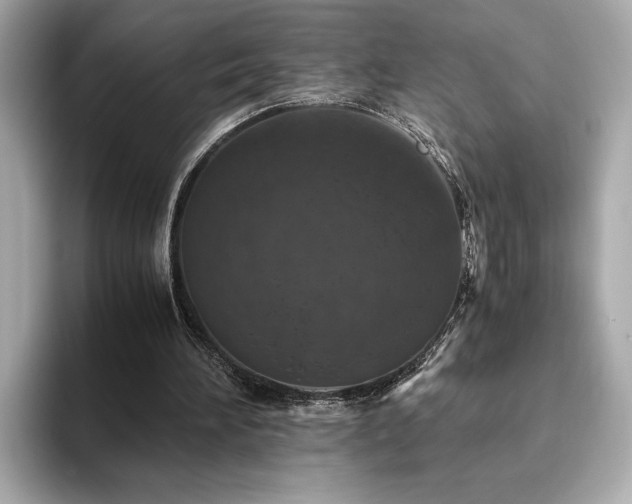 X0000093750196200710161203
